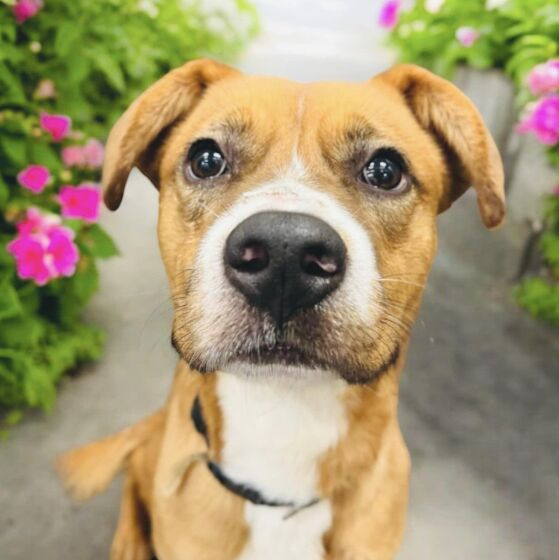 Friends exercising together